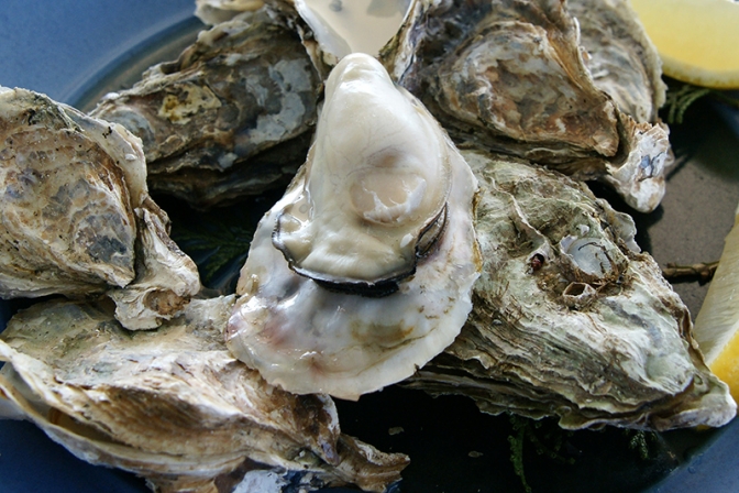 丸共水産出荷の岡山県産生カキで基準値超える大腸菌　５００キロ回収命令