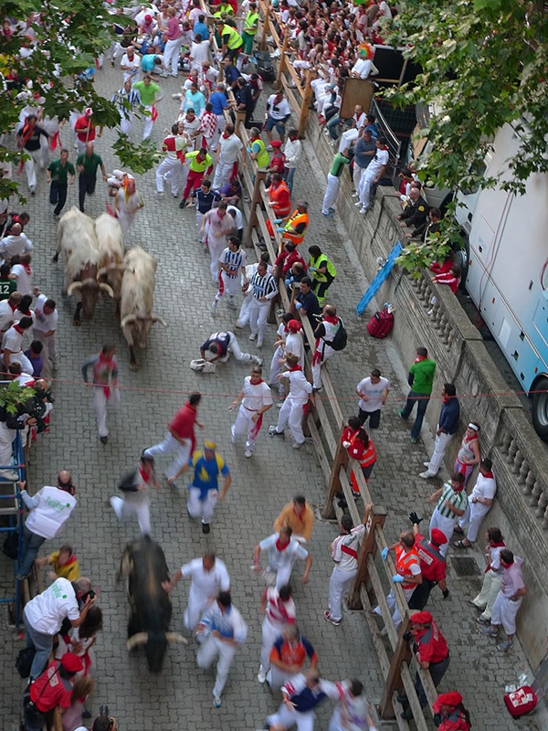 スペイン・サンフェルミン祭の牛追いで日本人２人けが　１人は牛に胸突かれる