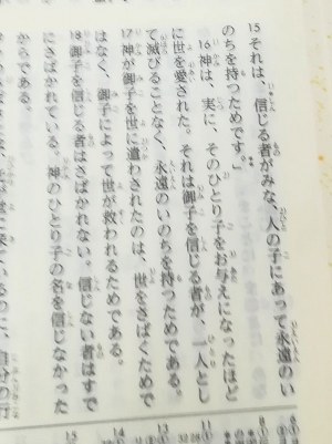 聖書 新改訳２０１７ 発売始まる 新しい 新改訳 とは 教会 クリスチャントゥデイ