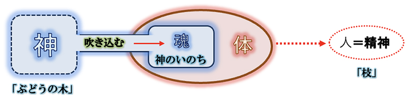 「苦しみ」と「苦しみ」の解決（１）「苦しみ」の原因　三谷和司