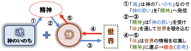 「苦しみ」と「苦しみ」の解決（２）見える困難に「苦しみ」を覚えるメカニズム　三谷和司